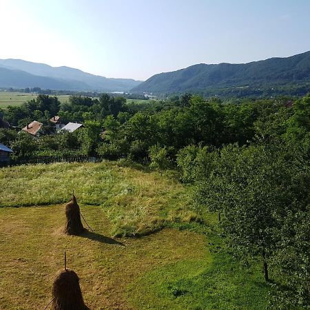 Pensiunea Adeluta Apartament Călimăneşti Exterior foto