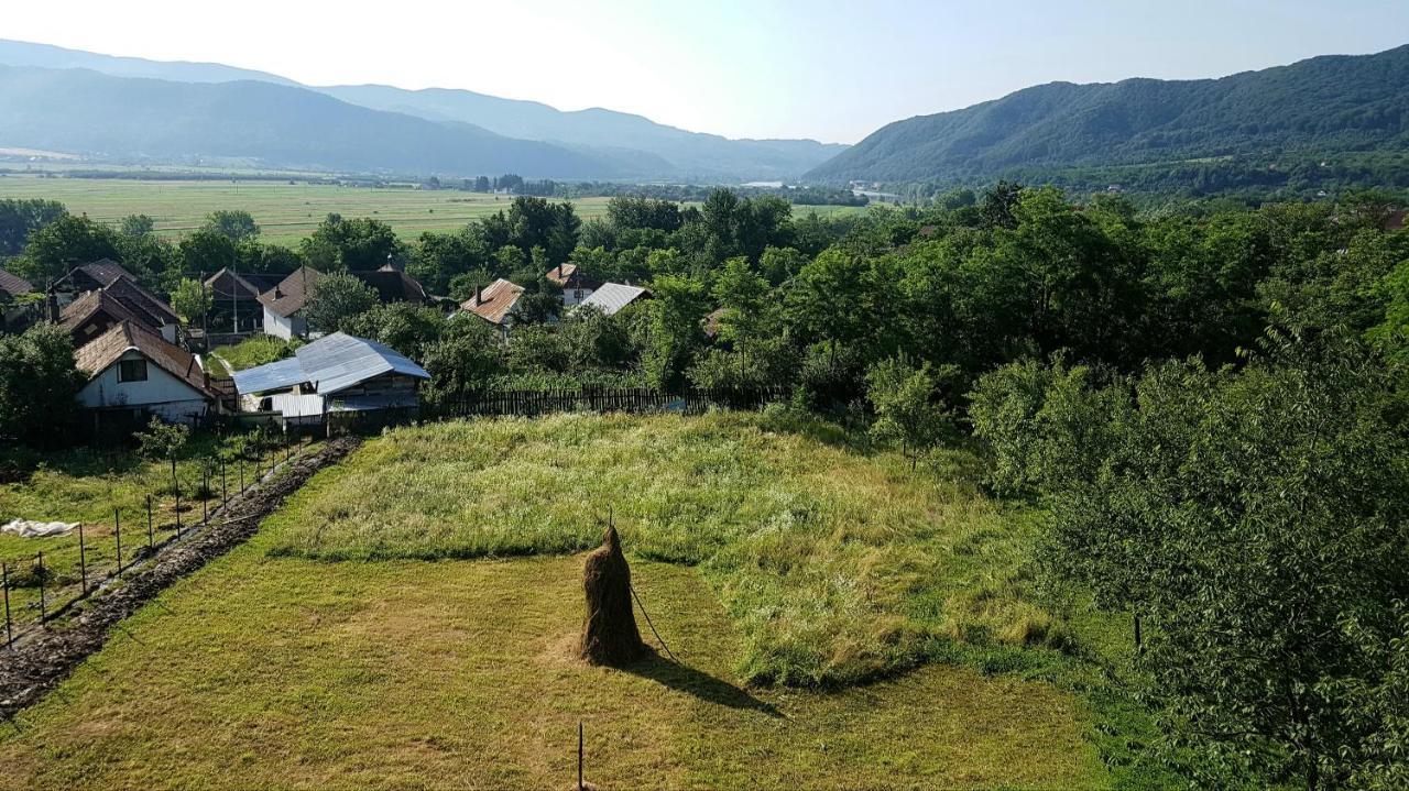 Pensiunea Adeluta Apartament Călimăneşti Exterior foto
